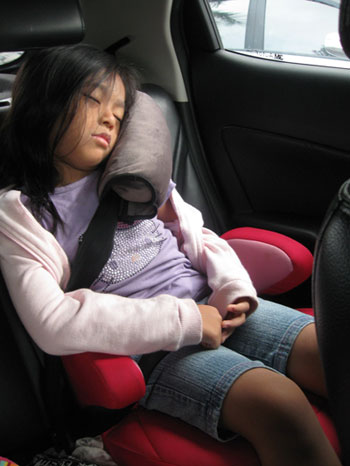 Cosysnooze Seat Belt Pillow