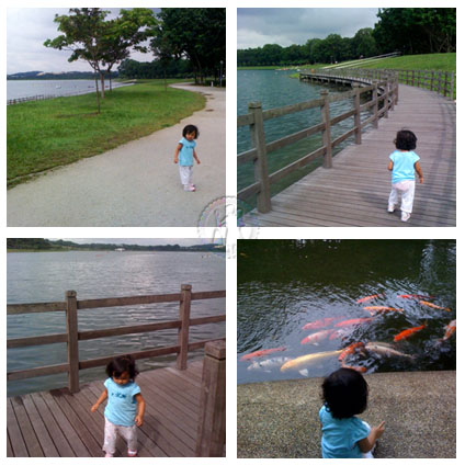 Morning Walk with Naia 1